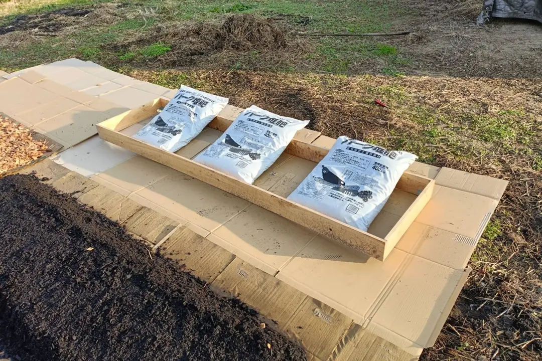 ノーディグ農法 始めてみました①